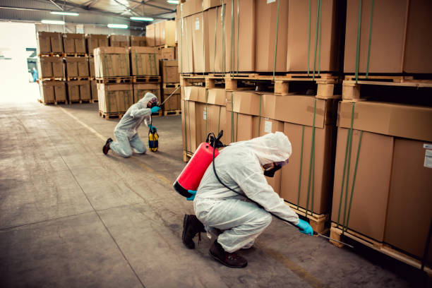 Best Termite Control Services  in Wilson, PA