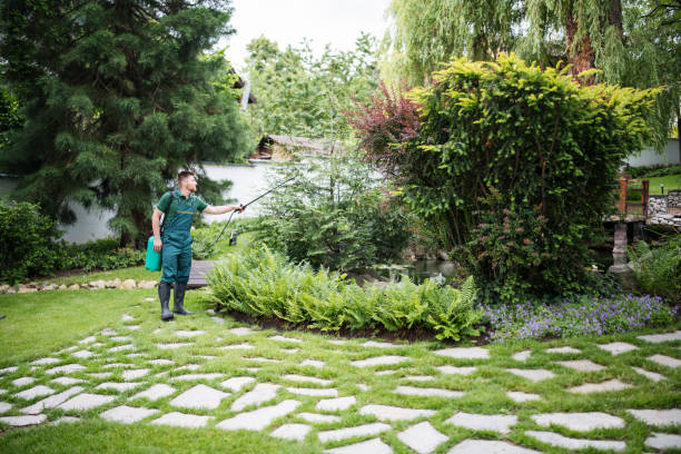 Best Pest Inspection Near Me  in Wilson, PA