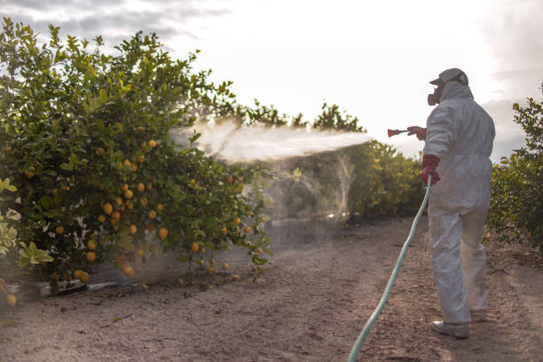 Best Exterminator Services  in Wilson, PA
