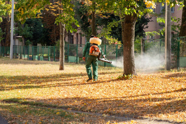 Best Best Pest Control Companies  in Wilson, PA