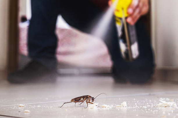 Best Local Pest Control Services  in Wilson, PA