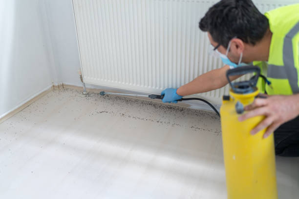 Best Commercial Pest Control Services  in Wilson, PA