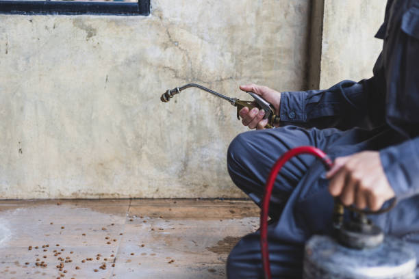 Best Mosquito Control Services  in Wilson, PA