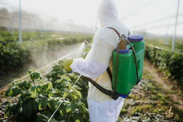 Best Cockroach Control Services  in Wilson, PA